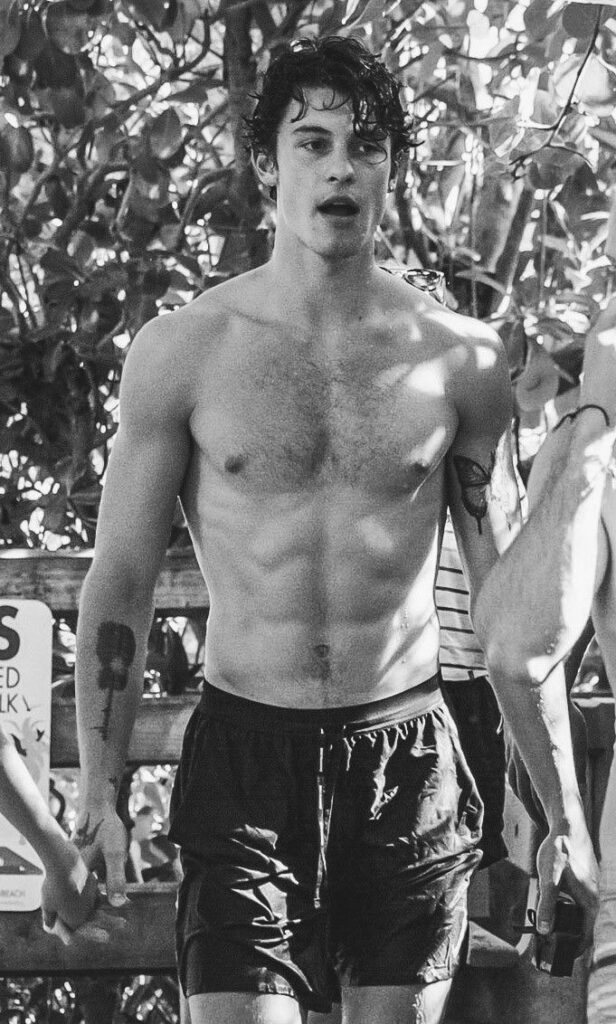 Shawn Mendes Fotos Hot Calientes Sexy Cumpleaños Sin Camisa 3