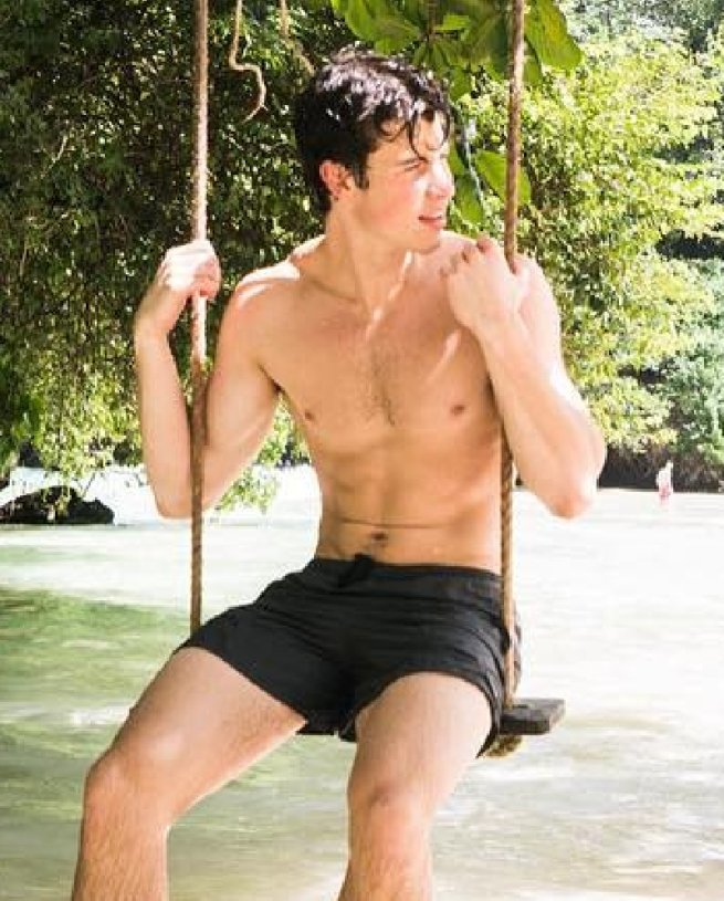 Shawn Mendes Fotos Hot Calientes Sexy Cumpleaños Sin Camisa 3
