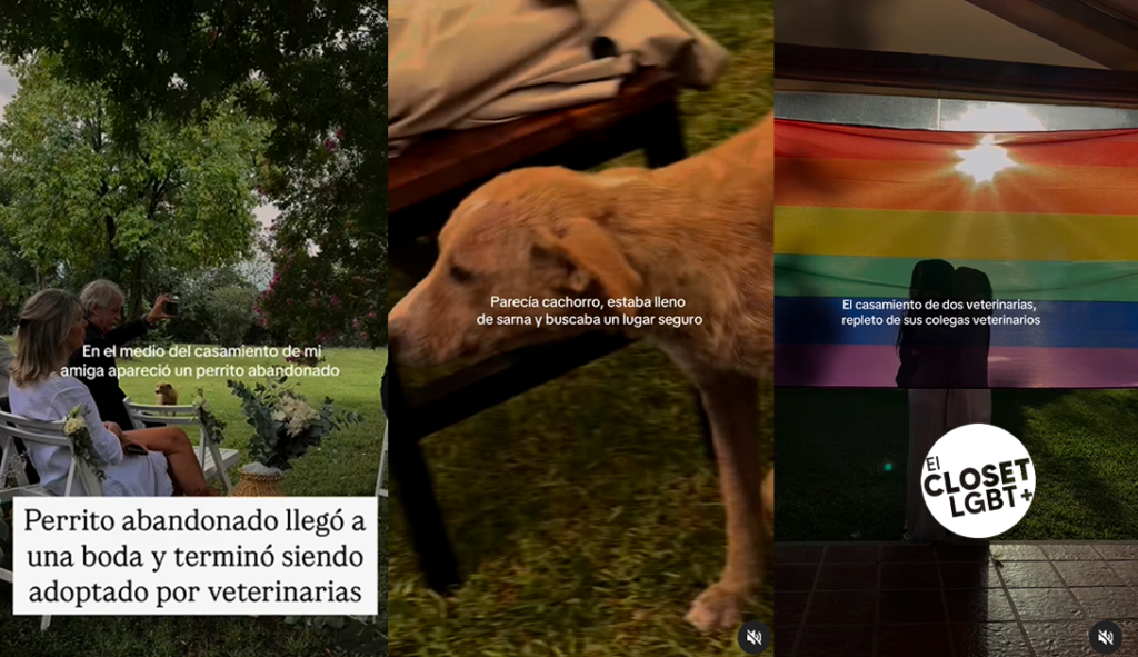 Los Amantes Astronautas: Una nueva película queer argentina que no te ...